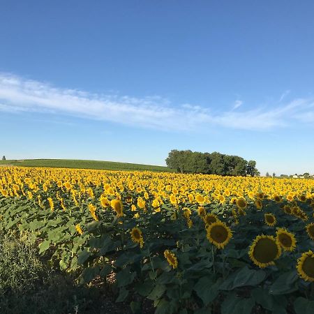 Les Ombrieres Bed & Breakfast Porcheresse Екстериор снимка